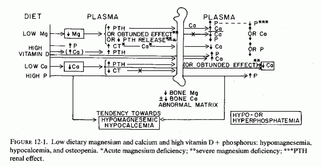 Figure 12.1.