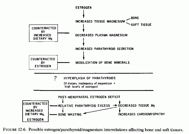 Figure 12.6.