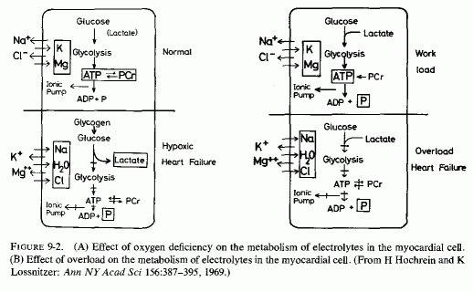 Figure 9.2.