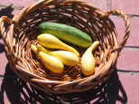 Basket of homegrown vegetables