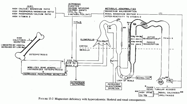 Figure 13.2.