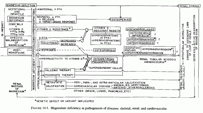 Figure 14.1.