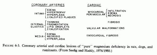 Figure 6.3.