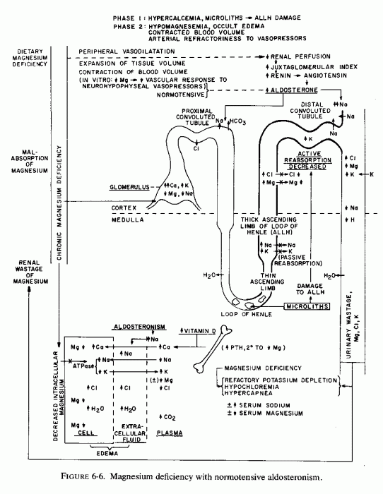 Figure 6.6.