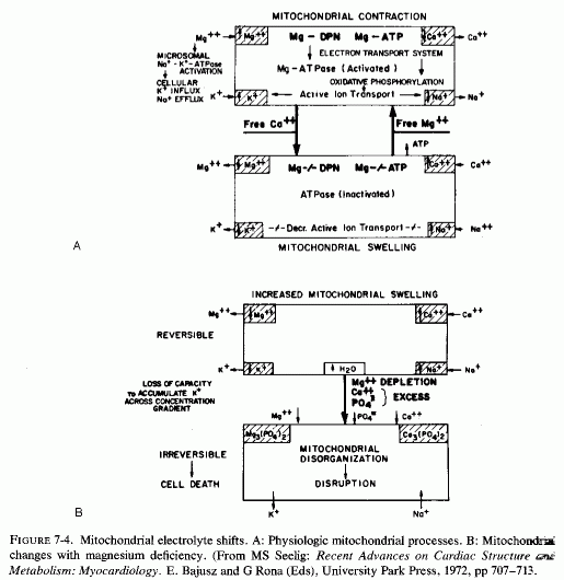 Figure 7.4.