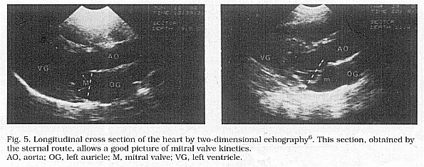 Dur33 Figure 5